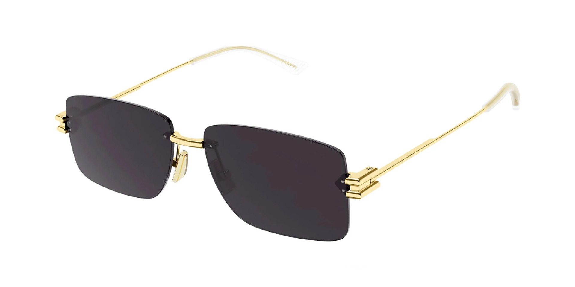 Bottega Veneta …