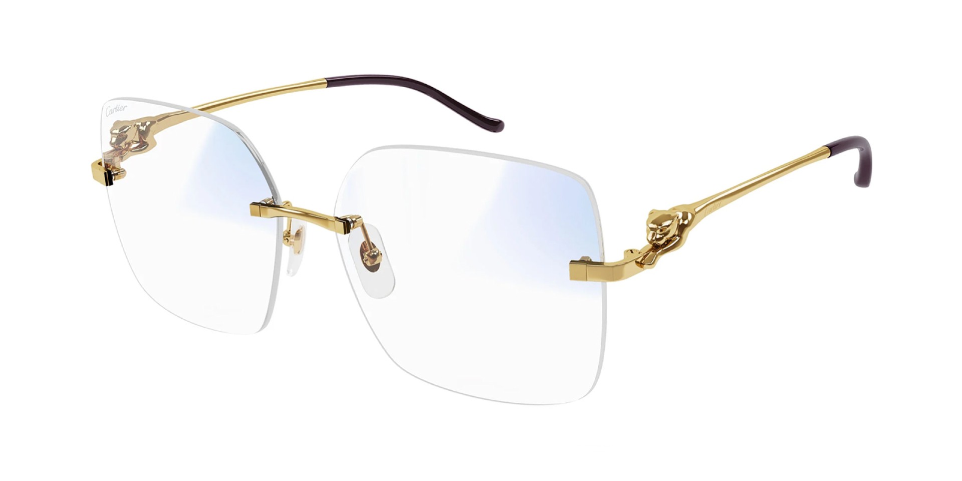 Cartier CT0359S …
