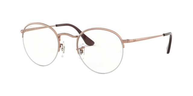 Ray-Ban RB 3947V Round Gaze 2943