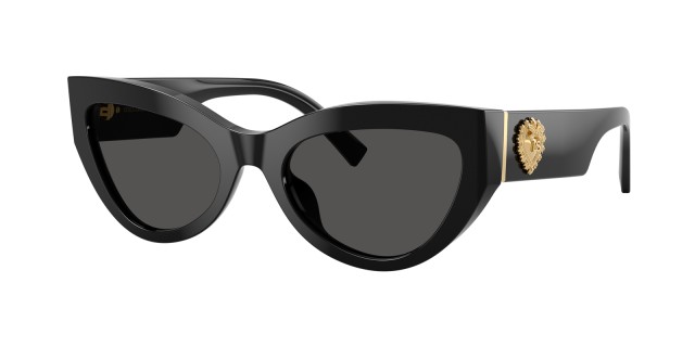 Dolce & Gabbana DG 4536 501/87