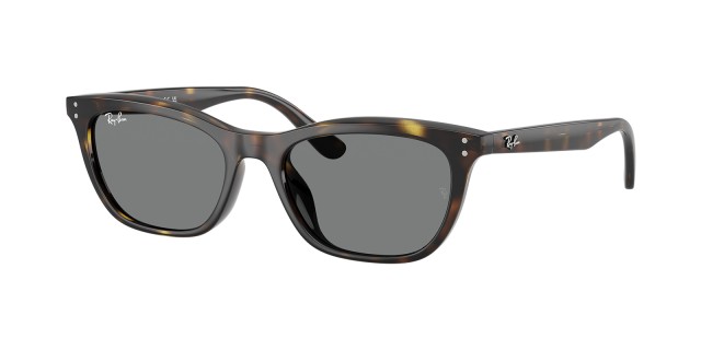 Ray-Ban RB 4474D 710/87
