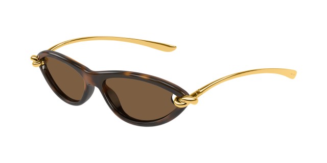 Bottega Veneta BV1390S 002