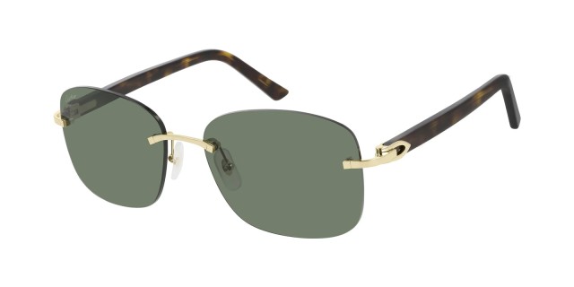 Cartier CT0227S 002