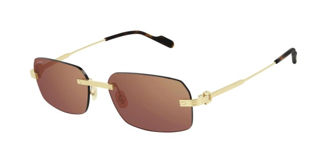 Cartier CT0271S 004