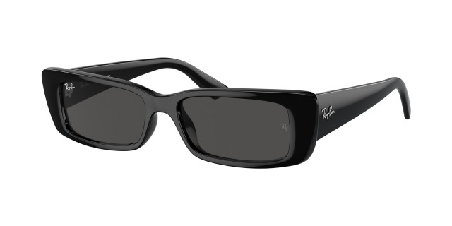 Ray-Ban 4425 Teru 6677/87