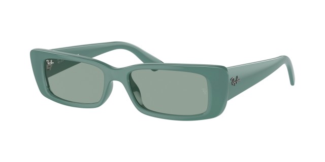 Ray-Ban 4425 Teru 6762/82