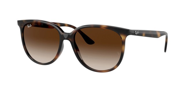 Ray-Ban RB 4378 710/13
