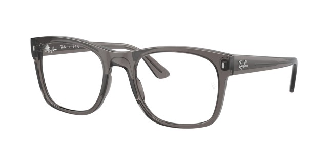 Ray-Ban RX7228 8257