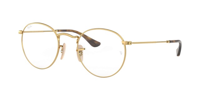 Ray-Ban RB 3447V Round Metal 2500