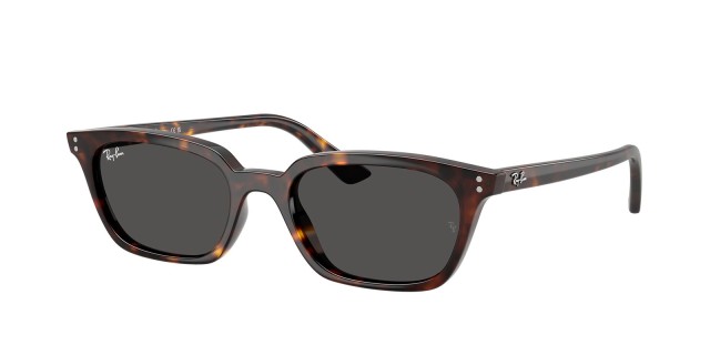 Ray-Ban RB 4456 Zaya 1359/87