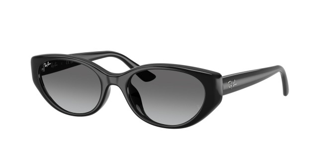 Ray-Ban RB 4457D 6677/11