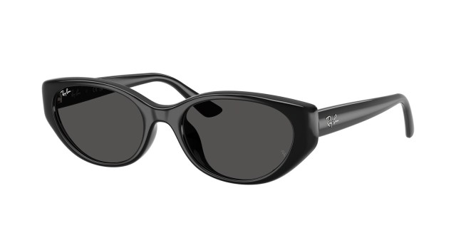 Ray-Ban RB 4457D 6677/87